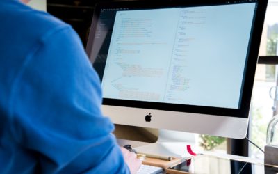 Offline vs Online Text Editor: Best Programmer’s Choice