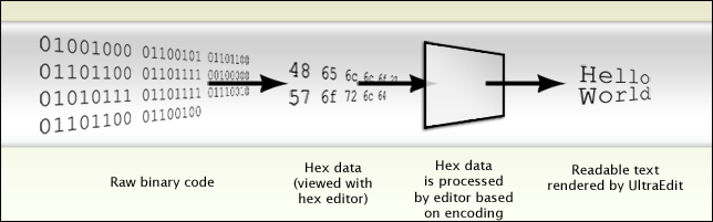 encoding