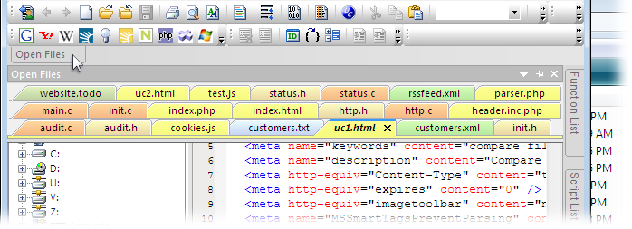 FTP Open File View