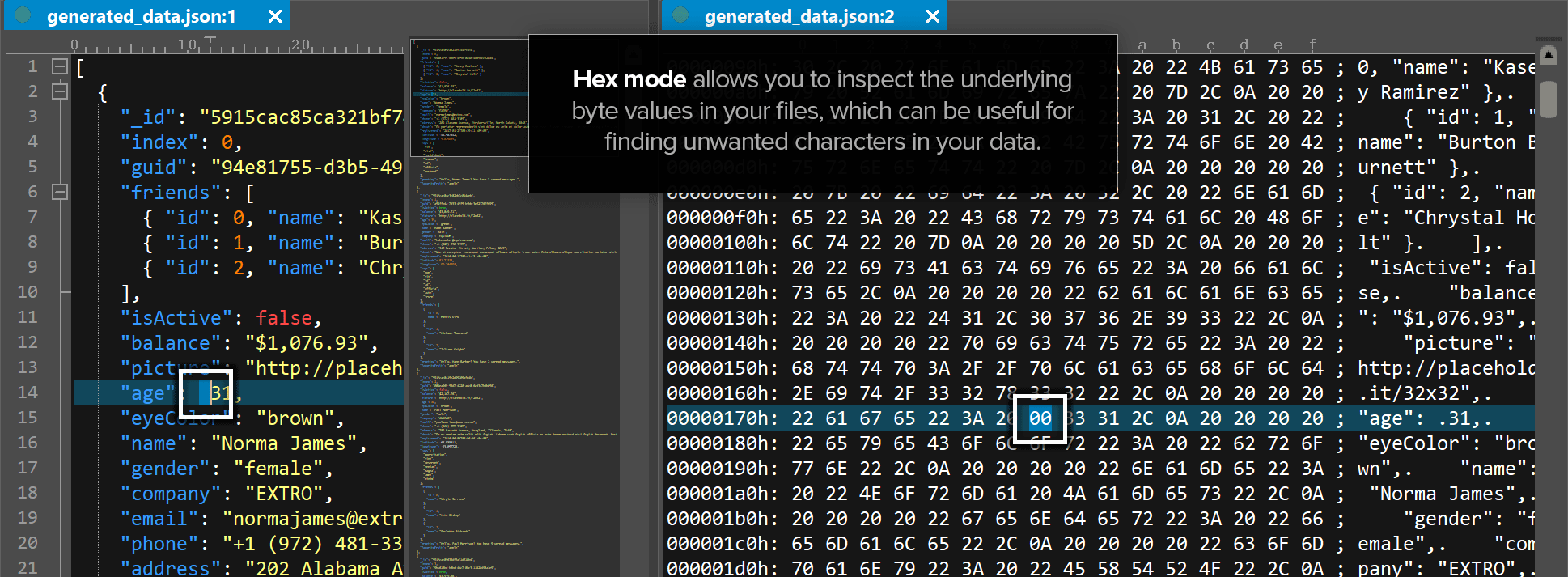 What does a hex editor do?