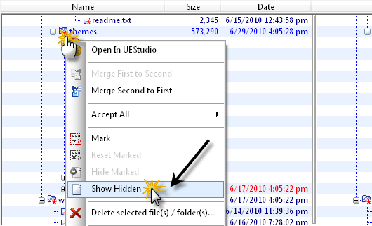 Show Hidden