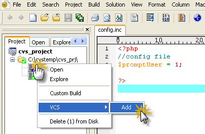 Add the file to VCS