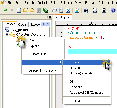 Commit the file to VCS